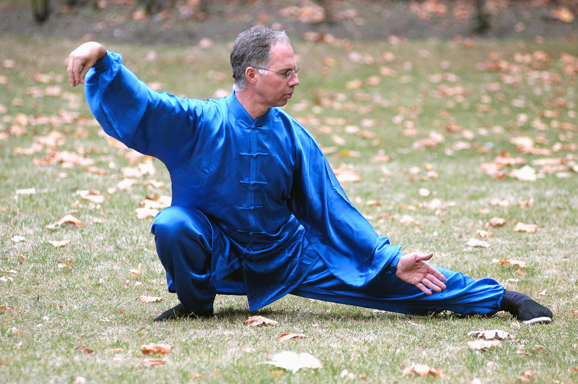 taiji-and-qigong-the-tn-card